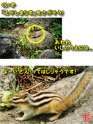 ӂ@ɂځ@kCw_[vEFC@G]V}X