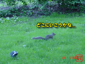 ӂ@ɂځ@j[[N@Zgp[N̂肷