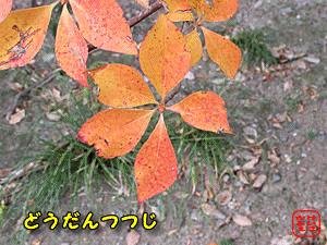 hE_ccW