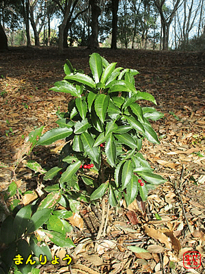 �}�������E