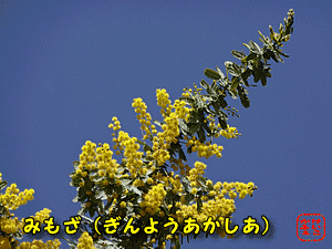 ӂ@ɂځ@@~U