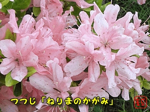 ӂ@@ ̂͂