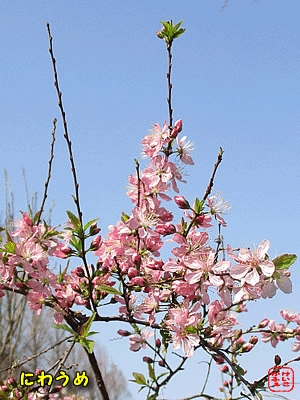 �j���E��