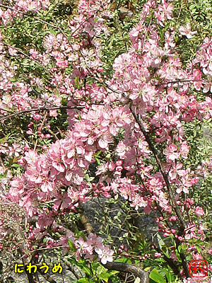 �j���E��