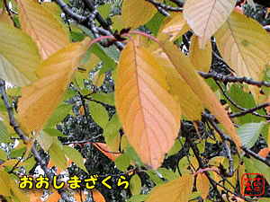 �I�I�V�}�U�N��