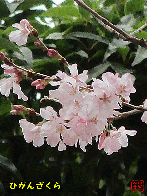 qKUN