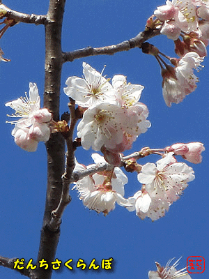 �g�n�T�N�����{