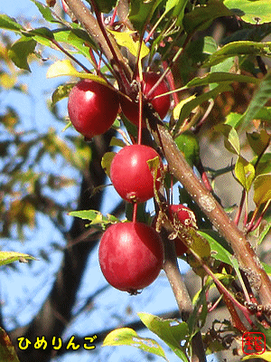 �q�������S