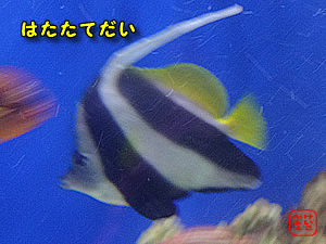 ӂ@ɂځ@V]mق̃XY_C