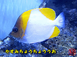 JX~`E`EEI