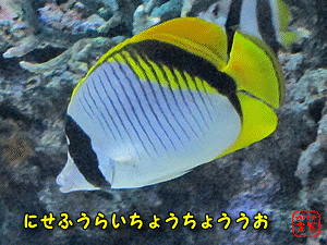 jZtEC`E`EEI