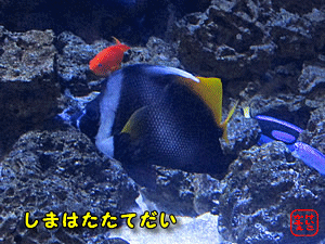 �V�}�n�^�^�e�_�C