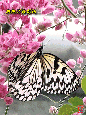 @@IIS}_