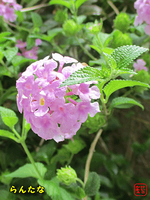 �����^�i