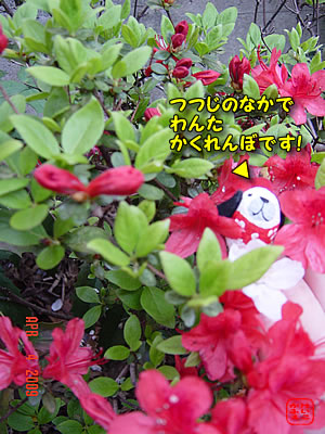 ӂ@_ĉ