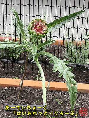 �A�[�e�B�`���[�N